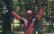 The Memoirs (of a new but not so new cosplayer.) 【Essay Competition】 | Xcoser International Costume Ltd.